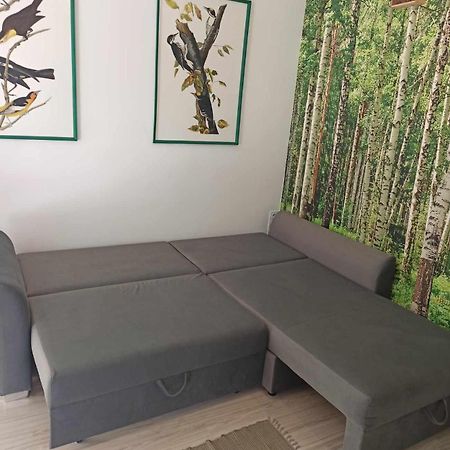 Studio Lesne Lubniewice Extérieur photo