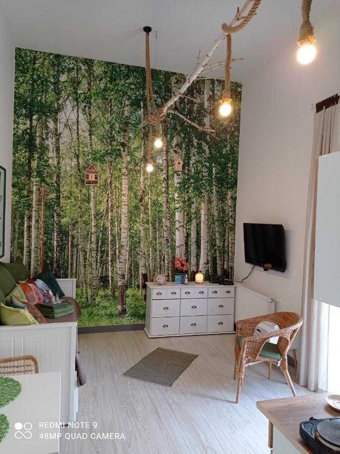 Studio Lesne Lubniewice Extérieur photo