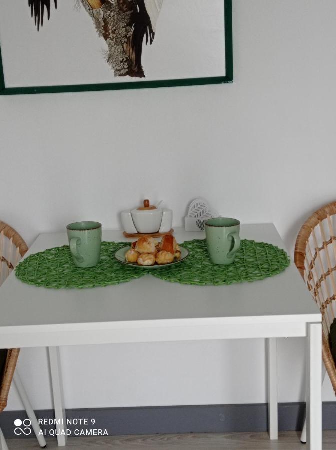 Studio Lesne Lubniewice Extérieur photo